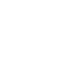 sublogo leao branco.png